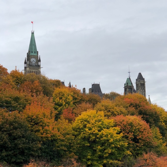 Meet your Posher, M - Picture 1 of 1